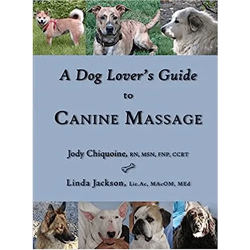 A Dog Lover's Guide to Canine Massage