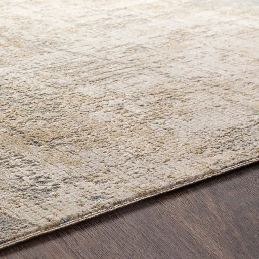 Aisha Viscose Distressed Sky Blue Rug