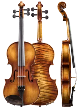 Amati Dvorak Viola Outfit