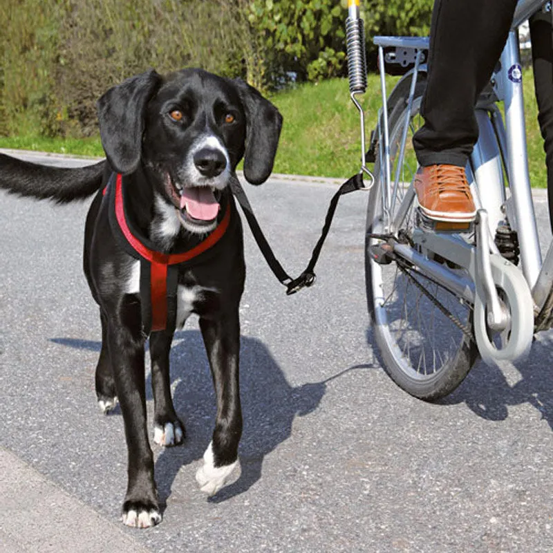 Biker Set - Small & Medium Dogs