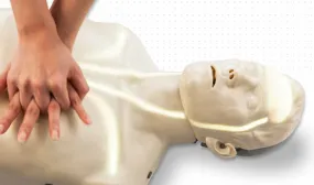 Brayden CPR Manikin w/ Feedback