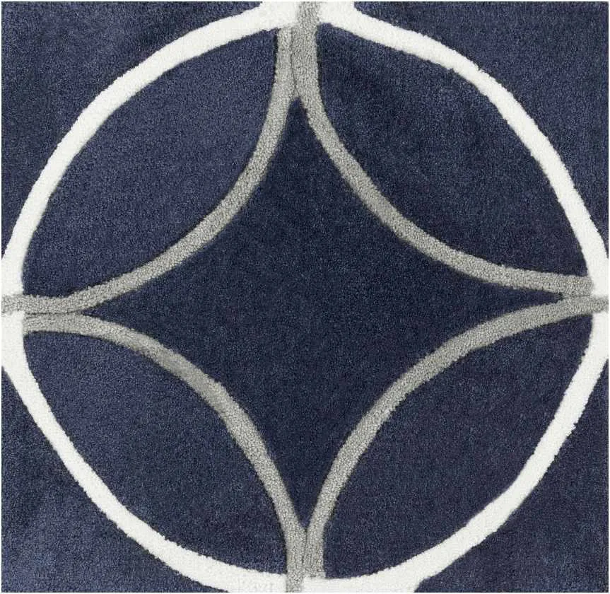 Byled Transitional Area Rug