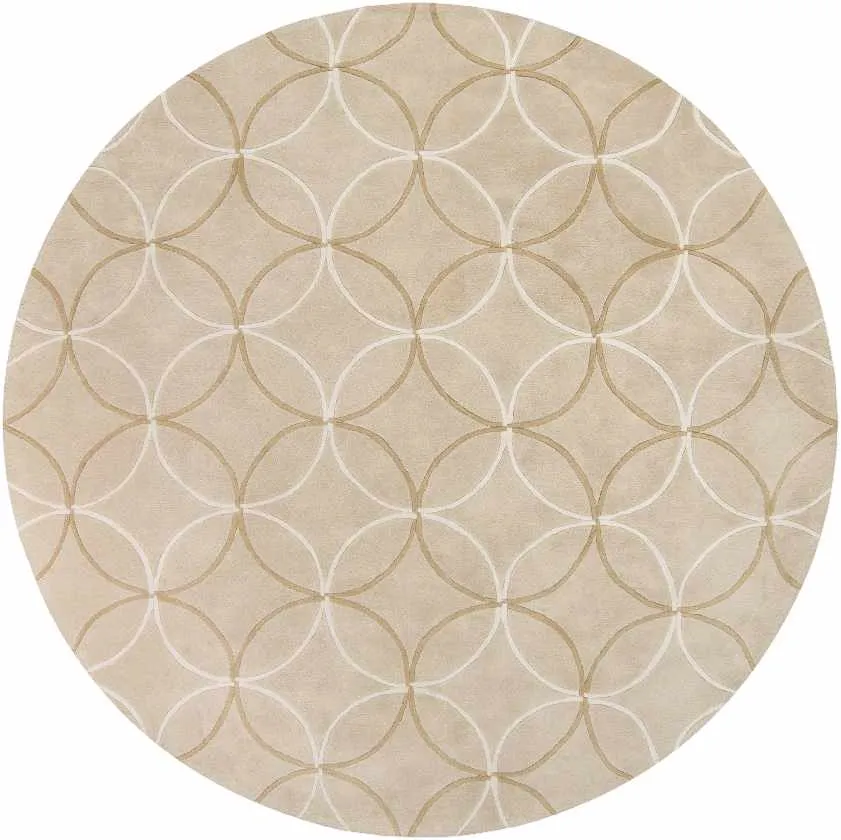 Byled Transitional Area Rug