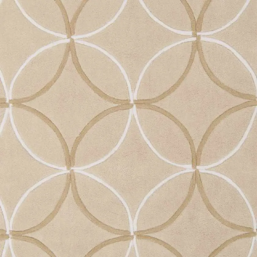 Byled Transitional Area Rug