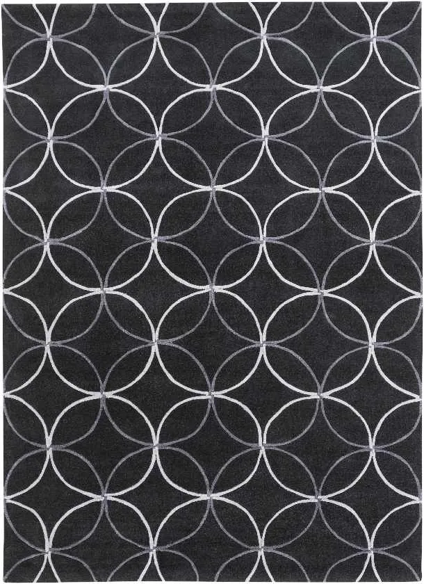 Byled Transitional Area Rug